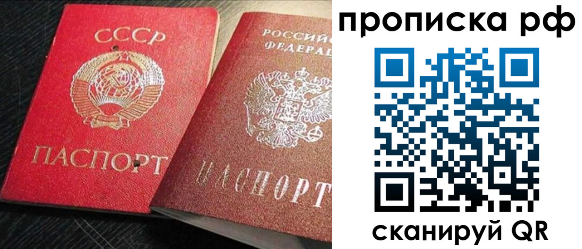 где прописаться в Тосно